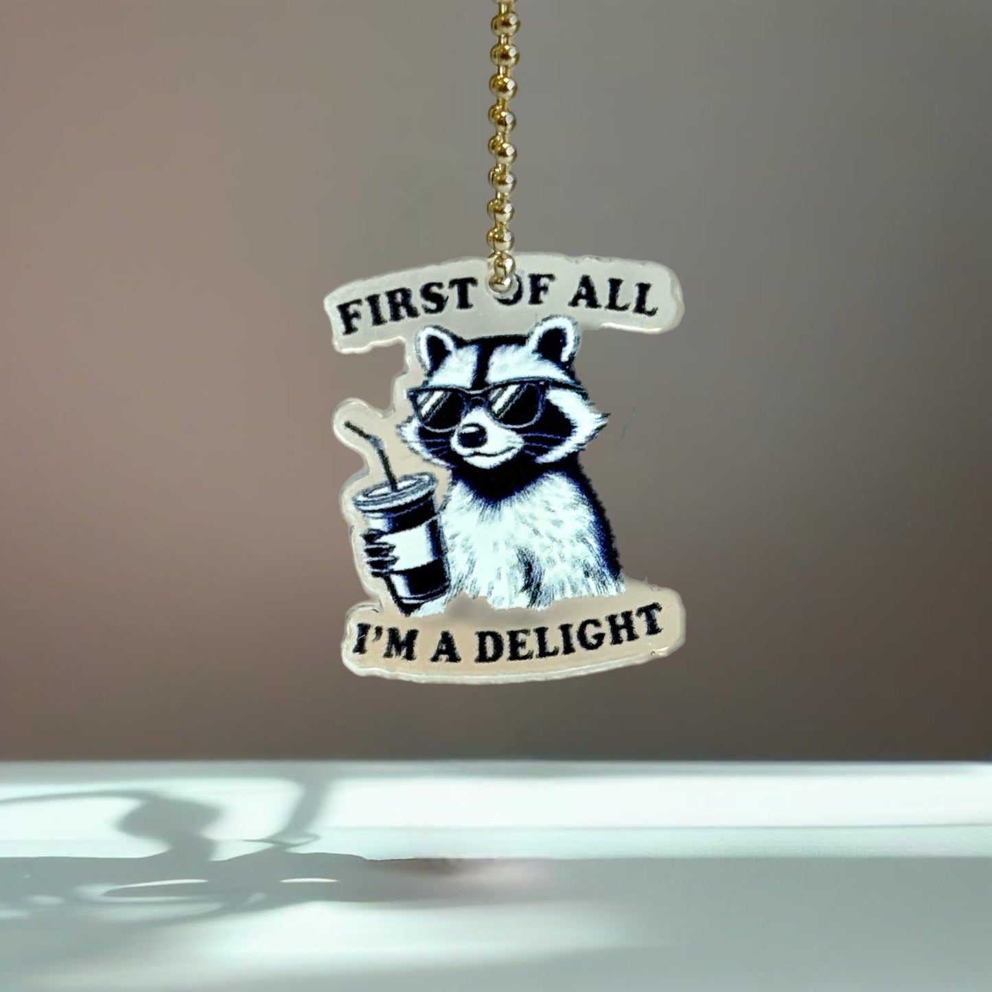 I’m A delight Raccoon Charm - Tumbler Handle Charm